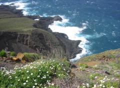 rencontre tenerife