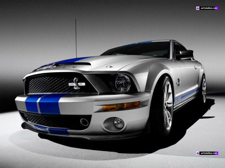 Mustangs Cars Wallpaper