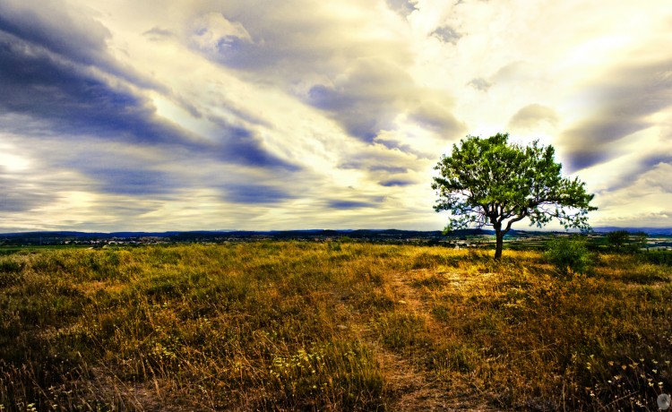 into the wild rencontre