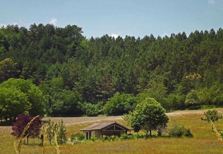 musique petite maison dans la prairie